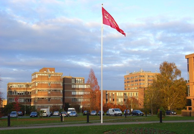 雷丁大学