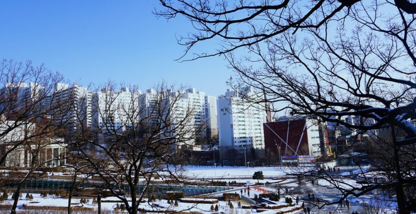 梨花女子大学本科留学2