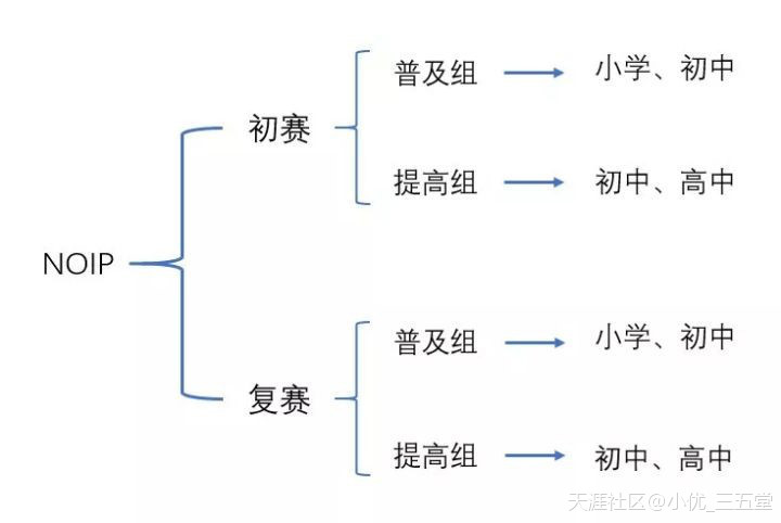 一文详解NOIP信息学奥赛，以及它对小升初、中高考有多重要？