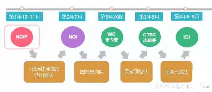 一文详解NOIP信息学奥赛，以及它对小升初、中高考有多重要？