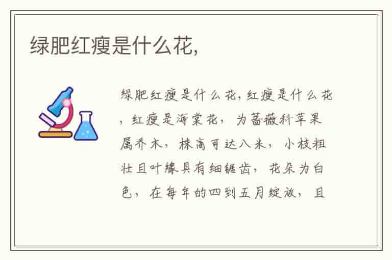 绿肥红瘦是什么花,-WNL