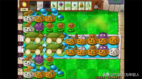 植物大战僵尸无尽版最佳阵型分析 植物大战僵尸无尽版阵型搭配