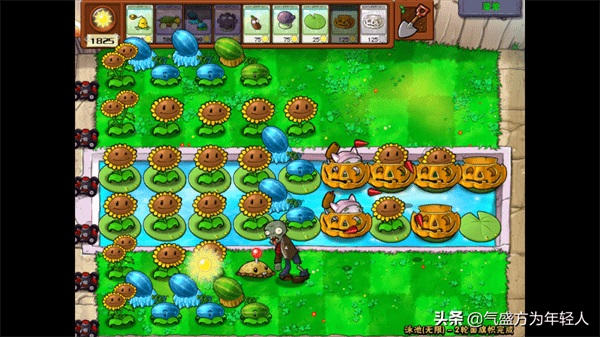 植物大战僵尸无尽版最佳阵型分析 植物大战僵尸无尽版阵型搭配