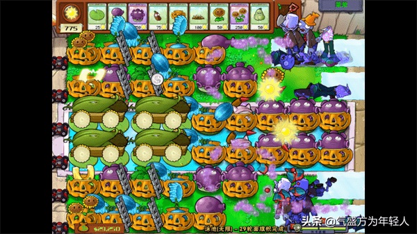 植物大战僵尸无尽版最佳阵型分析 植物大战僵尸无尽版阵型搭配