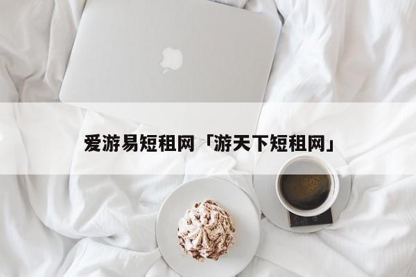 爱游易短租网 游天下短租网