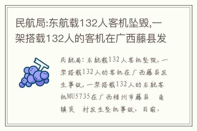 民航局:东航载132人客机坠毁,一架搭载132人的客机在广西藤县发生事故-ID