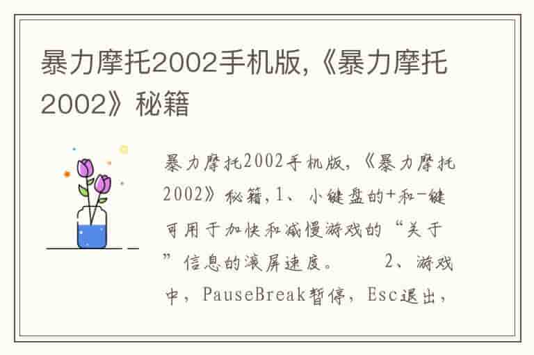 暴力摩托2002手机版,《暴力摩托2002》秘籍(知乎头条)