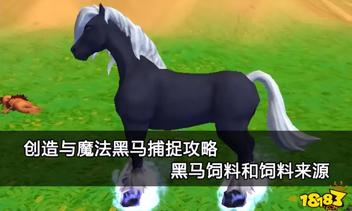 创造与魔法黑马饲料和饲料来源 创造与魔法黑马捕捉攻略