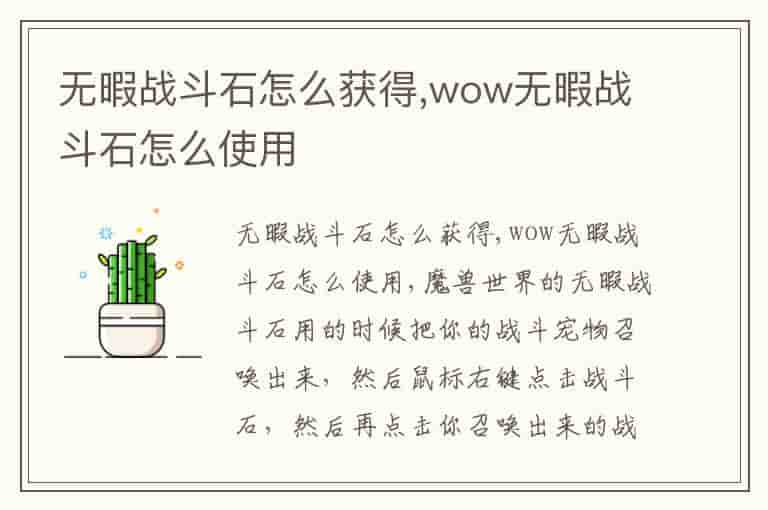无暇战斗石怎么获得,wow无暇战斗石怎么使用-ENB