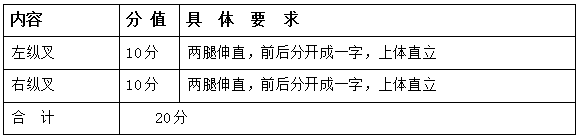 2023年安徽省普通高校招生艺术专业统一考试模块三考试说明（试行） 第2张