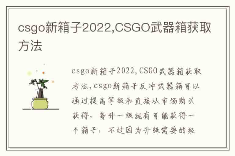 csgo新箱子2022,CSGO武器箱获取方法-GKR