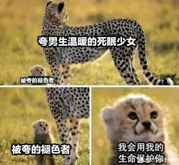 艾尔登法环支线BOSS盘点 艾尔登法环boss都有什么