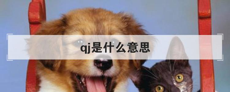 请问qj是什么意思 qj是什么