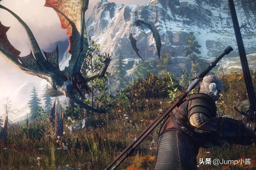 巫师3买Switch版情况一览(巫师3买哪个版本)