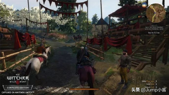 巫师3买Switch版情况一览(巫师3买哪个版本)
