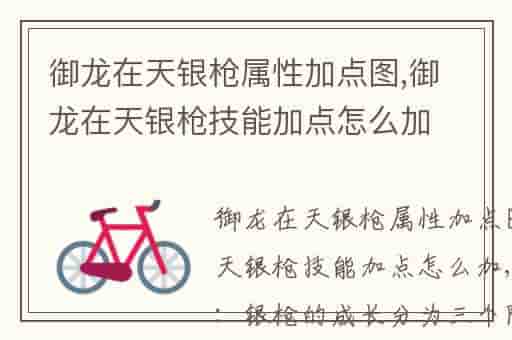 御龙在天银枪属性加点图,御龙在天银枪技能加点怎么加-QNT